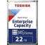 Toshiba MG Serisi Enterprise Disk 22TB